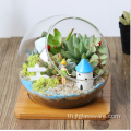 Terrarium เรขาคณิตฉ่ำแก้วเป่าด้วยมือ